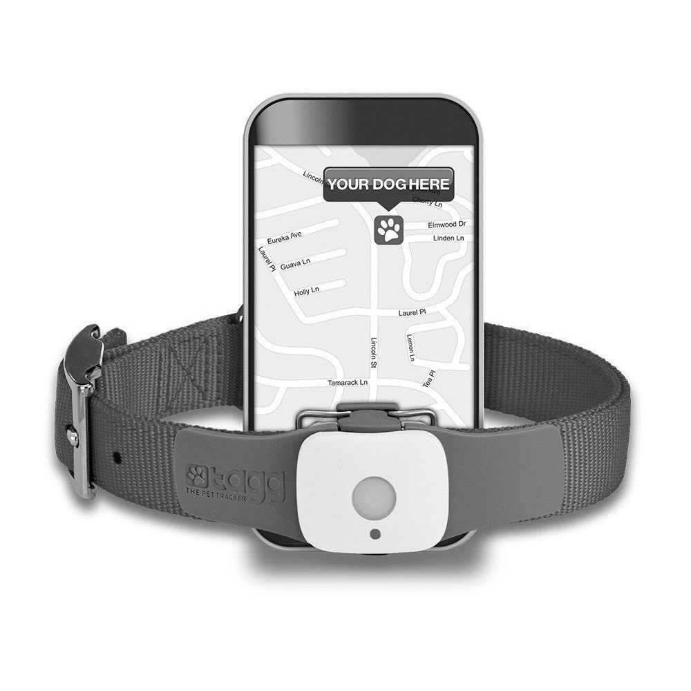 GPS sekliai, trekeriai