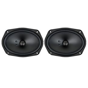Phoenix Gold, ZX69C 6 x 9"/15 x 23 cm  midwoofer garsiakalbiai