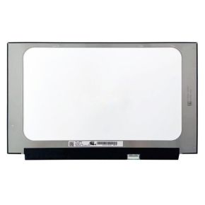 Ekranas 15.6", 1920x1200, 300Hz, matinis, 40pin, dešinėje, IPS