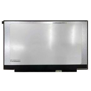 Ekranas 17.3", 2560x1440, 165Hz, matinis, 40pin, dešinėje, IPS