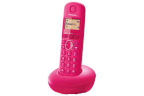 Belaidis telefonas Panasonic KX-TGB210FXP