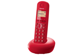 Belaidis telefonas Panasonic KX-TGB210FXR