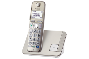 Belaidis telefonas Panasonic KX-TGE210FXN