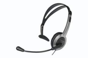 Ausinės Panasonic RP-TCA430E-S