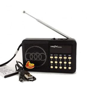 Kišeninis nešiojamas radijo imtuvas RRedSun RS-100U FM USB