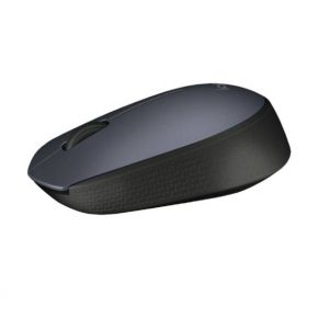 Belaidė pelė Logitech M170 wireless optical mouse